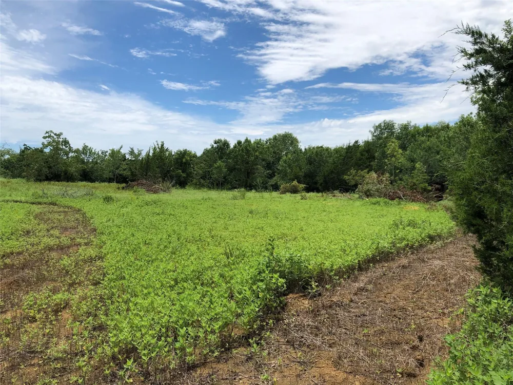 1 Steele Road Highlands, TX 77562