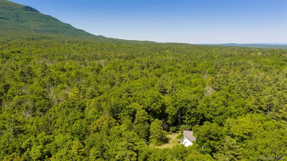 19 Blues Quarry Woodstock, NY 12498