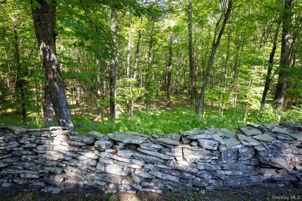 19 Blues Quarry Woodstock, NY 12498