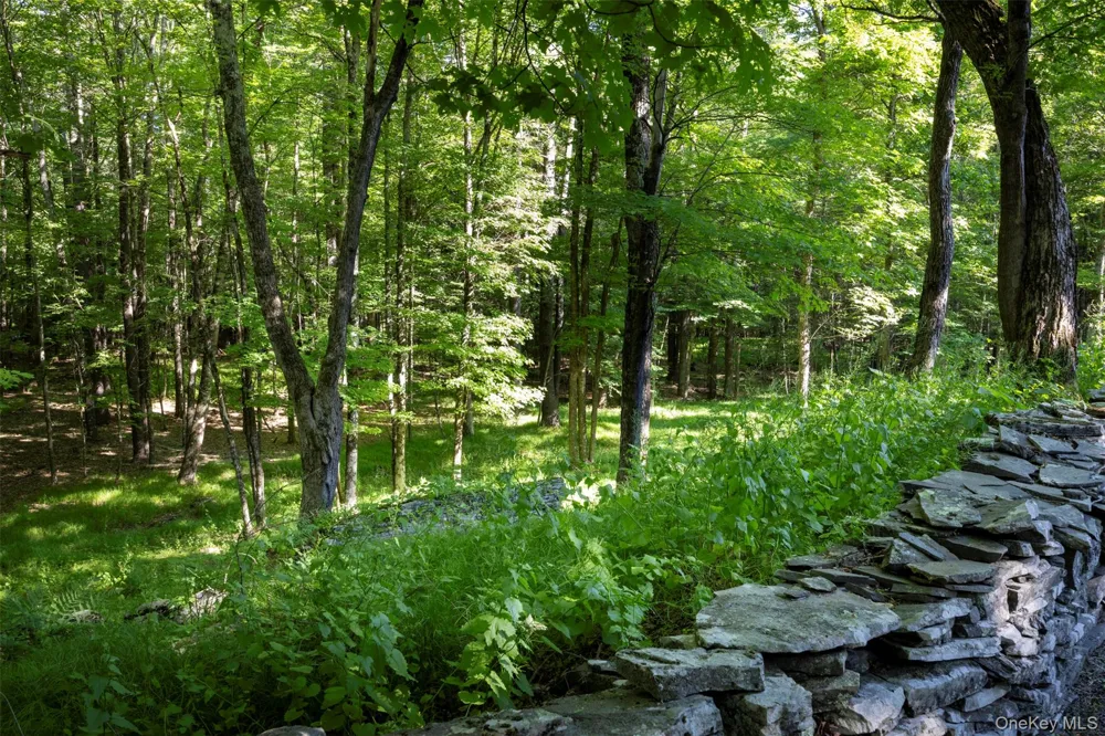 19 Blues Quarry Woodstock, NY 12498