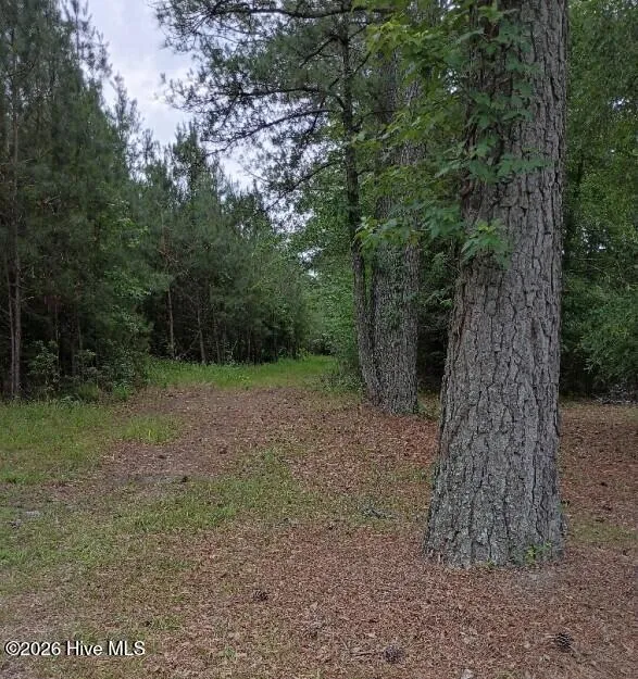 0 Maules Point Road Blounts Creek, NC 27814