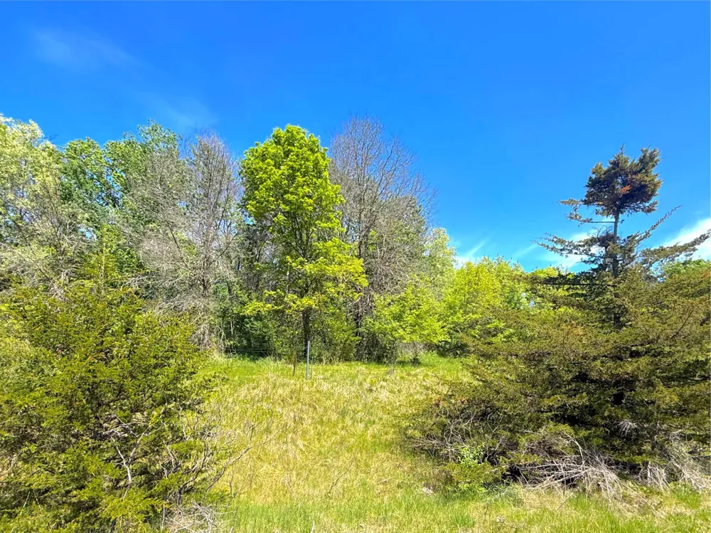 210XX County Road 75 Clearwater, MN 55320