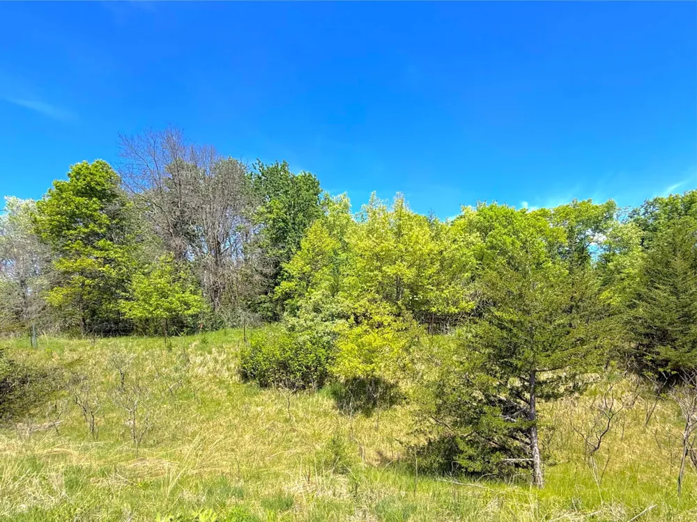 210XX County Road 75 Clearwater, MN 55320