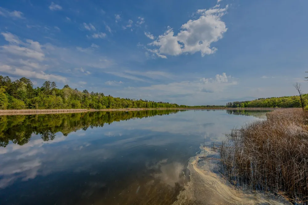 19488 County Road 125 Park Rapids, MN 56470