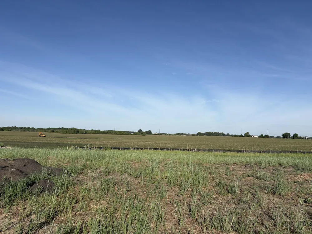 460 Ramey Road Maple Lake, MN 55358