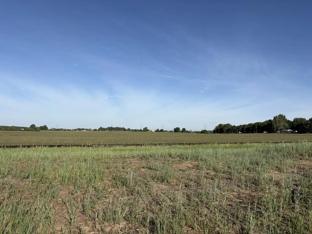 460 Ramey Road Maple Lake, MN 55358