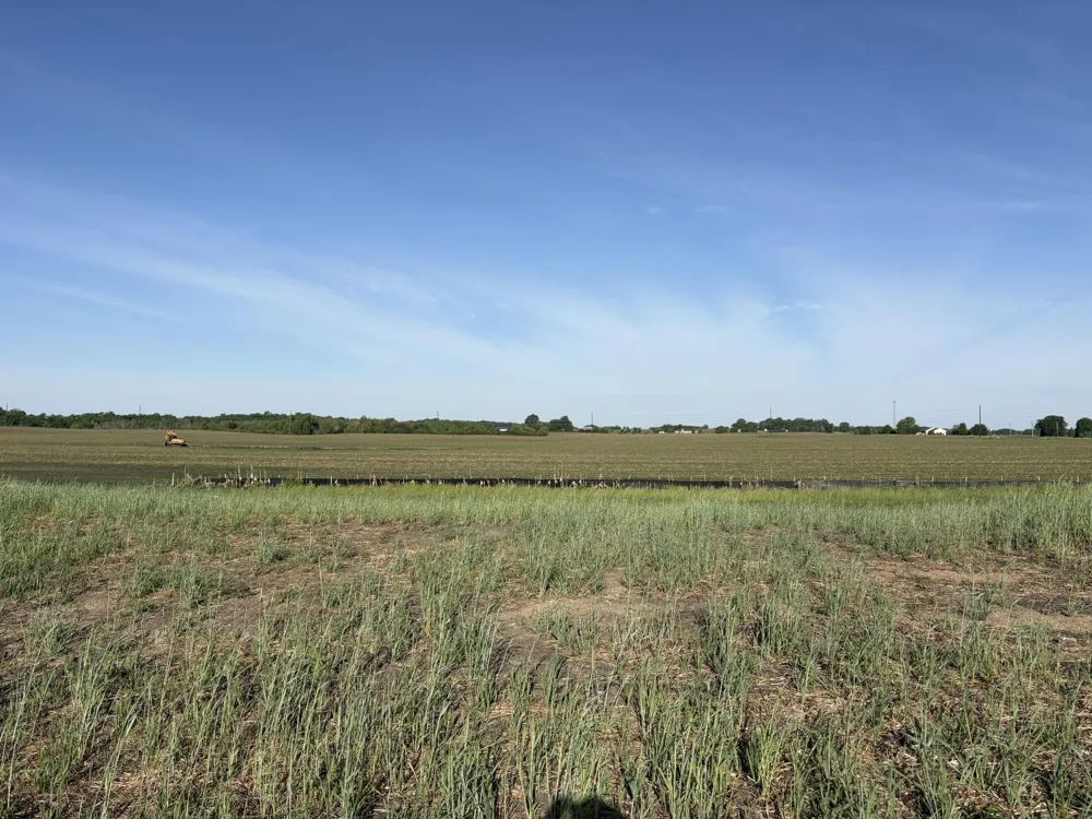 460 Ramey Road Maple Lake, MN 55358