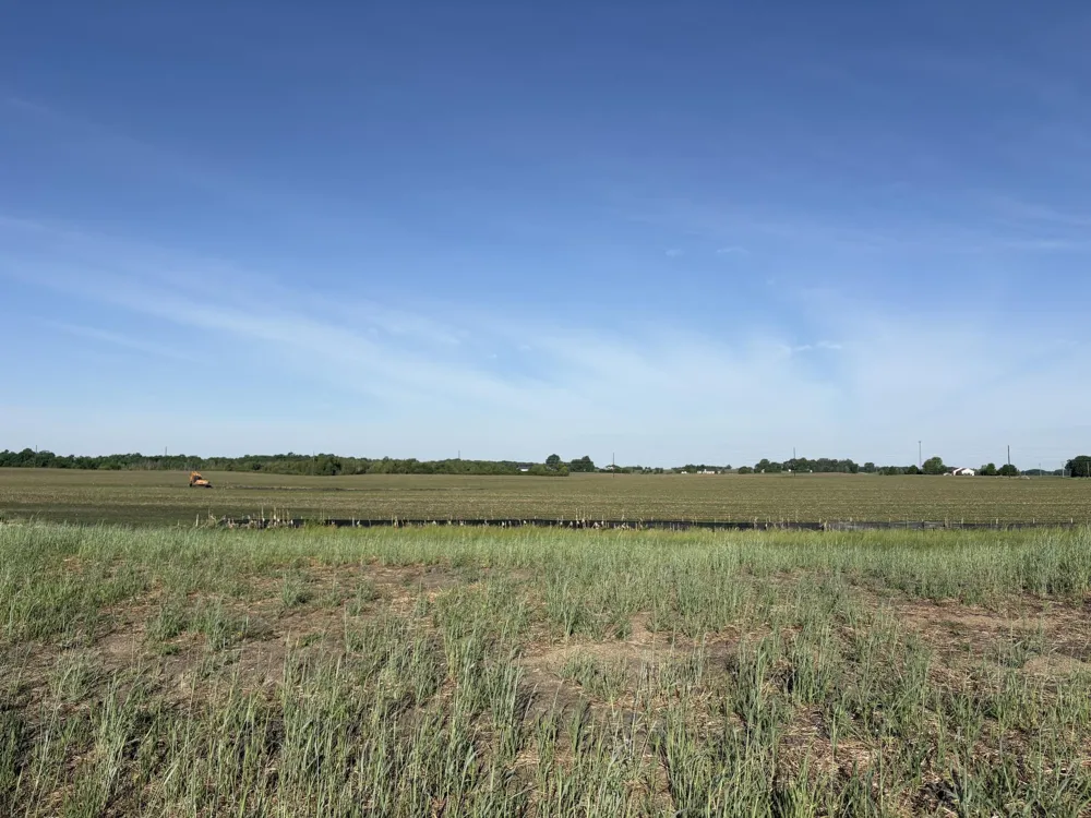 460 Ramey Road Maple Lake, MN 55358