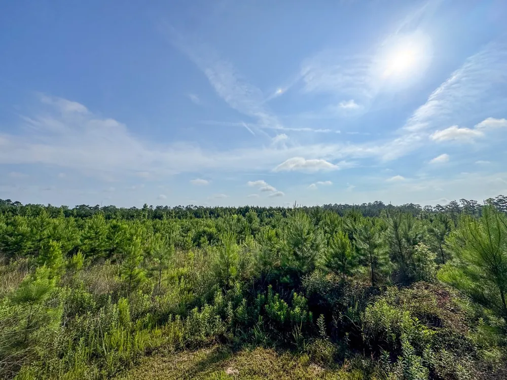 Ellis West Road Pitkin, LA 70656