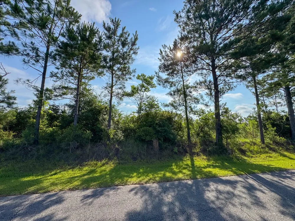 Ellis West Road Pitkin, LA 70656