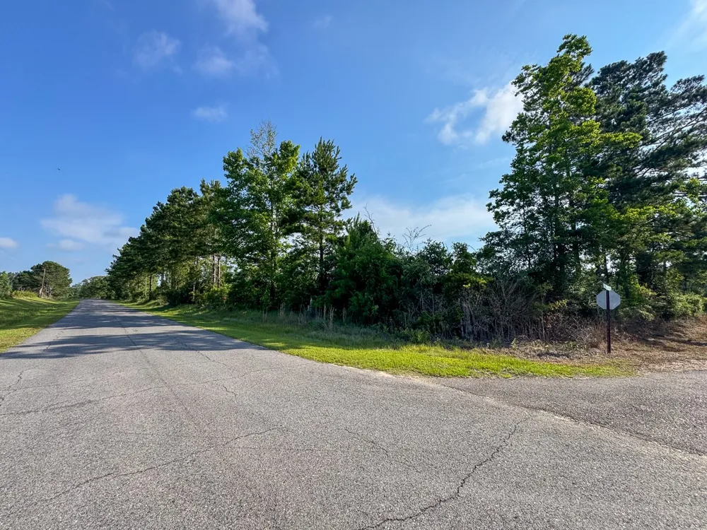 Ellis West Road Pitkin, LA 70656