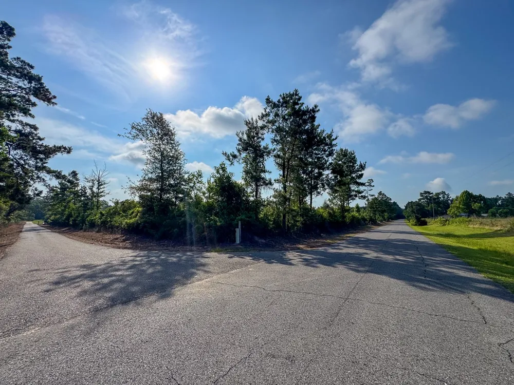 Ellis West Road Pitkin, LA 70656