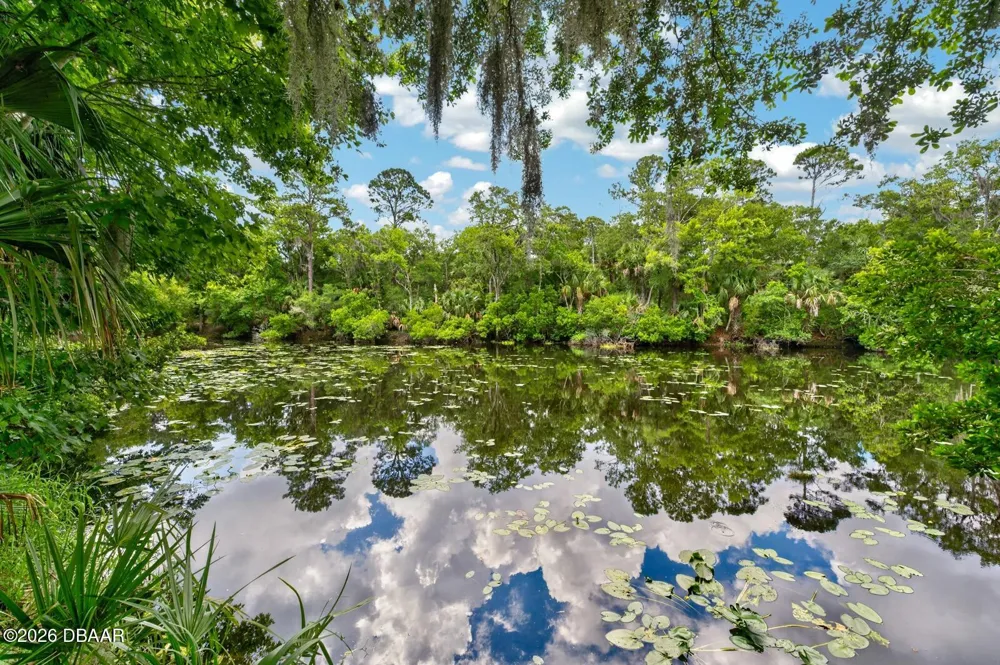 53 Auberry Drive Palm Coast, FL 32137