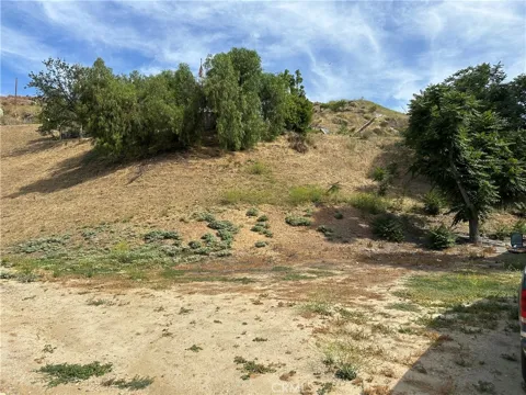 30021 Buchanan