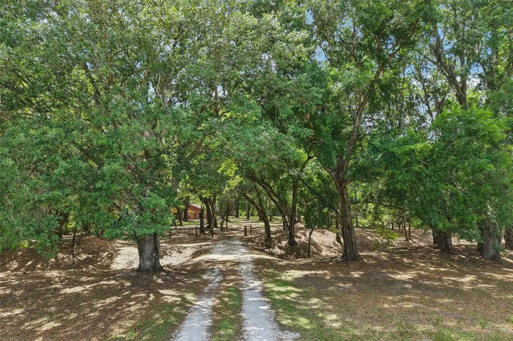 2685 CR 564 Bushnell, FL 33513