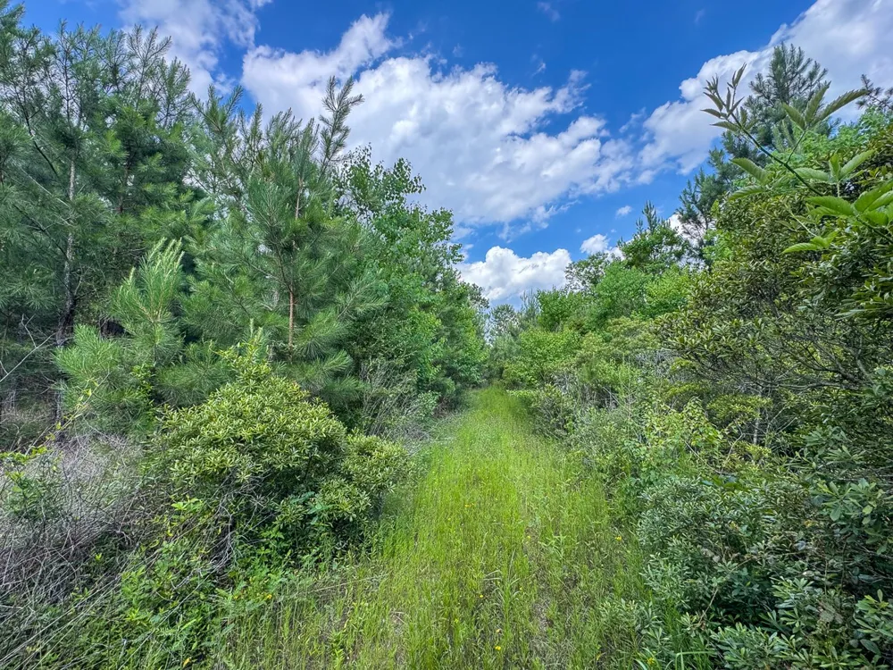 Highway 27 Lake Charles, LA 70633