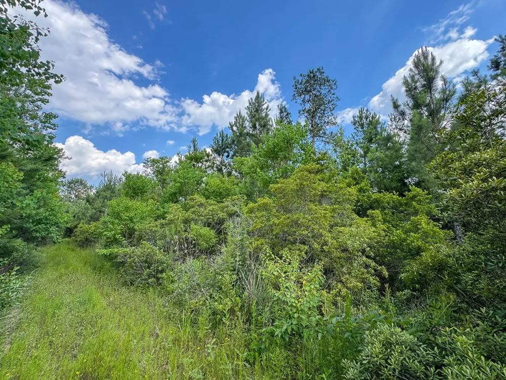 Highway 27 Lake Charles, LA 70633