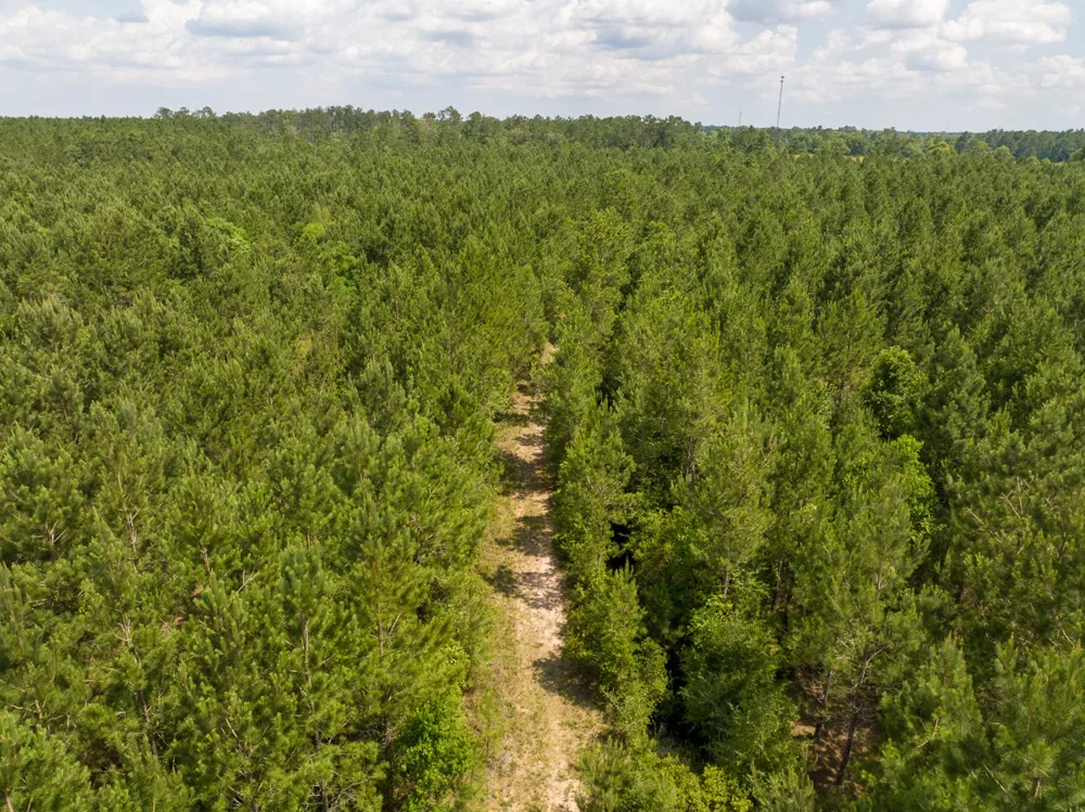 Highway 27 Lake Charles, LA 70633