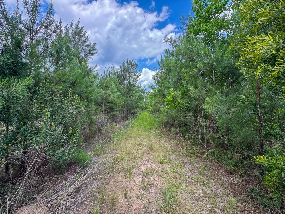 Highway 27 Lake Charles, LA 70633