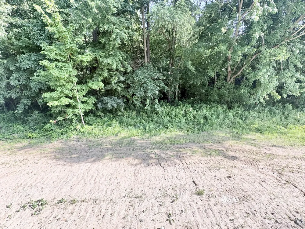 1206 Sunfield Court Jamestown Charter Township, MI 49315