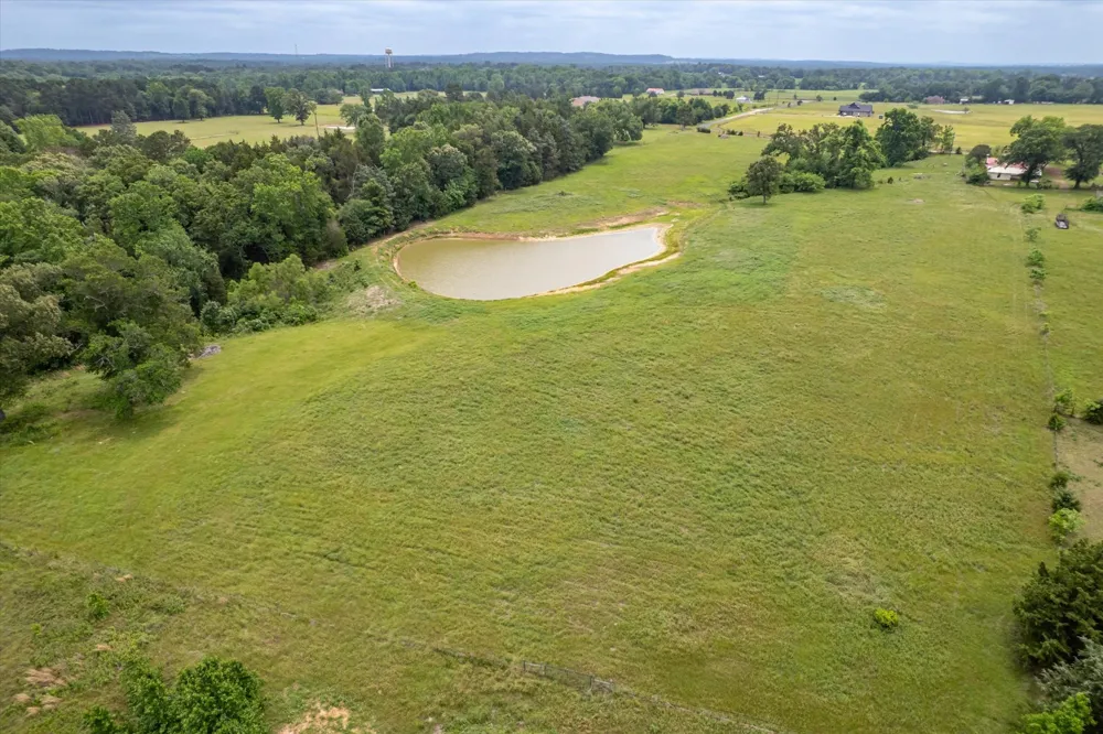 881 VZ County Road 4605 Ben Wheeler, TX 75754