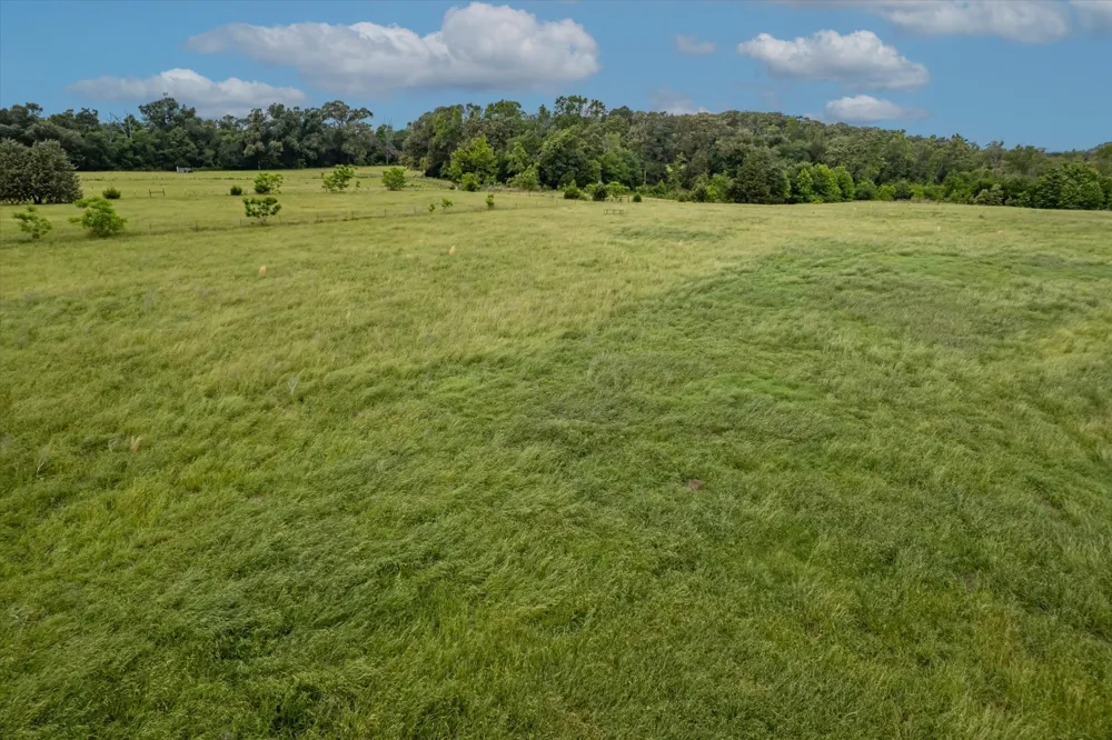 881 VZ County Road 4605 Ben Wheeler, TX 75754