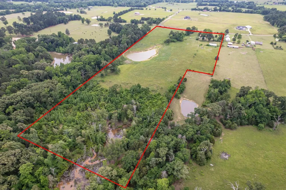 881 VZ County Road 4605 Ben Wheeler, TX 75754