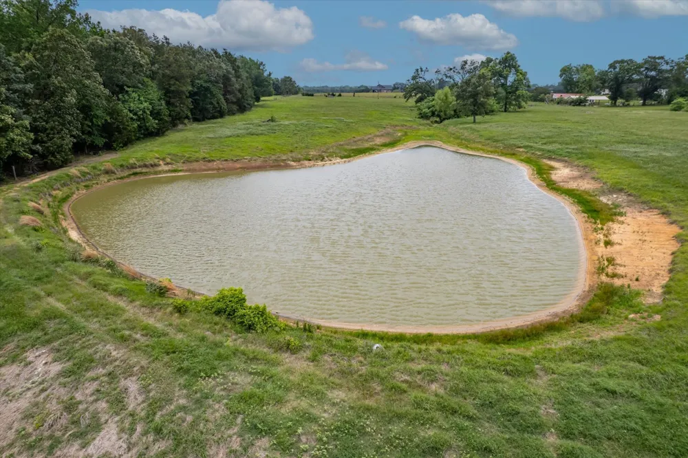 881 VZ County Road 4605 Ben Wheeler, TX 75754