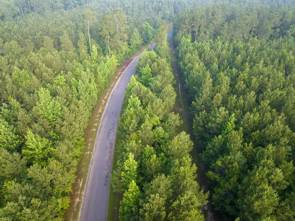 Dido Loop Pitkin, LA 70656