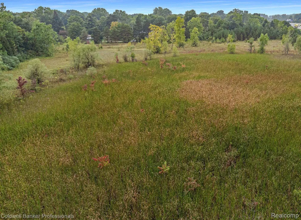 1001 S Vassar Road Davison City, MI 48423
