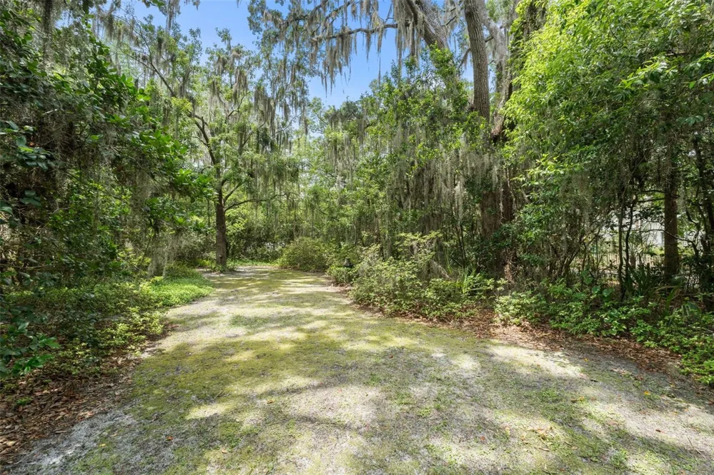 717 NE BOULEVARD Gainesville, FL 32601
