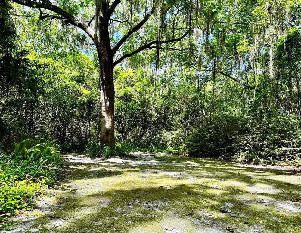 717 NE BOULEVARD Gainesville, FL 32601