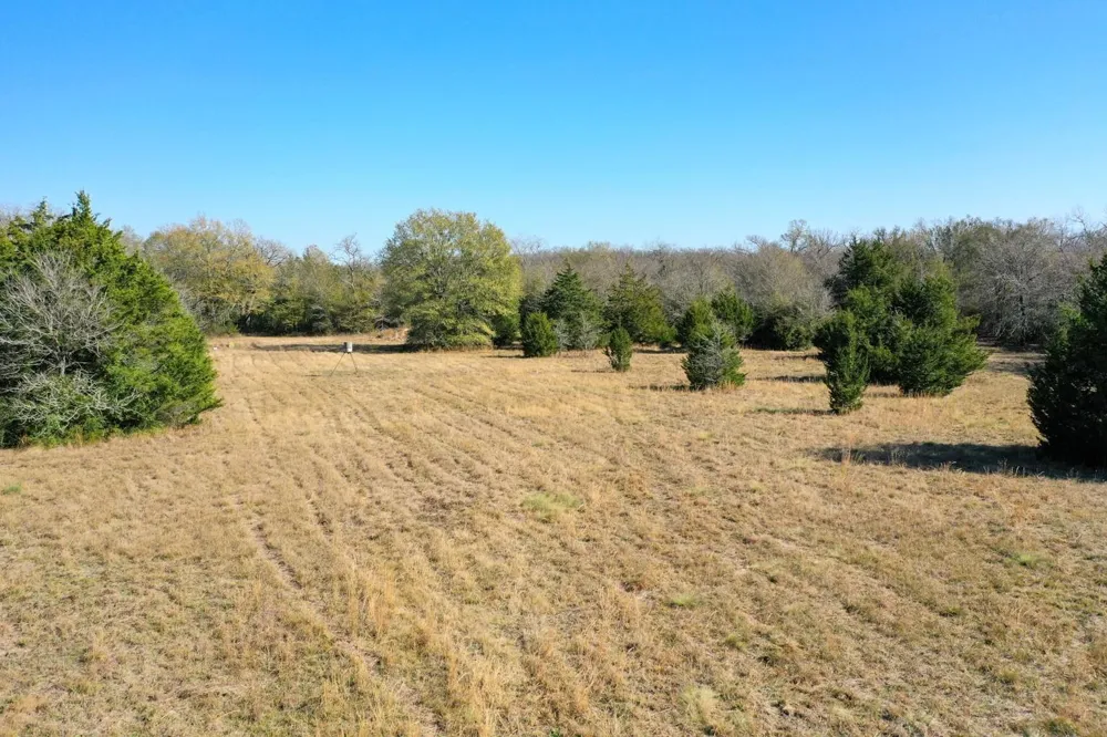 5 Manning Lane Madisonville, TX 77864