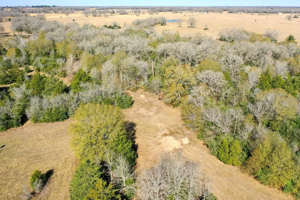 5 Manning Lane Madisonville, TX 77864