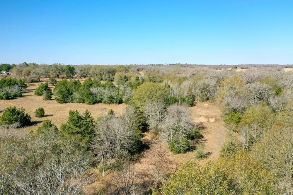 5 Manning Lane Madisonville, TX 77864