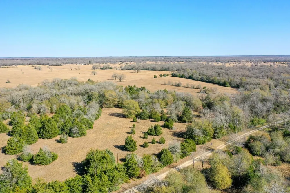 5 Manning Lane Madisonville, TX 77864