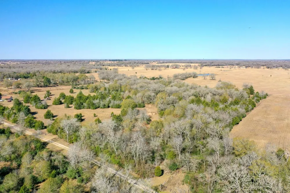 5 Manning Lane Madisonville, TX 77864