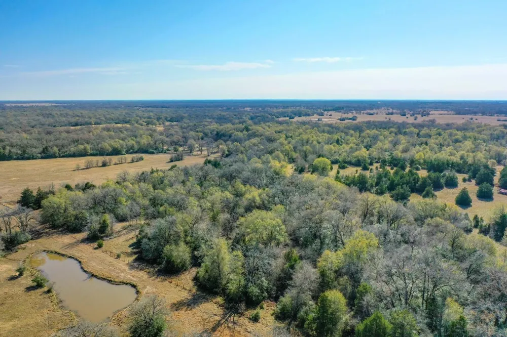 5 Manning Lane Madisonville, TX 77864