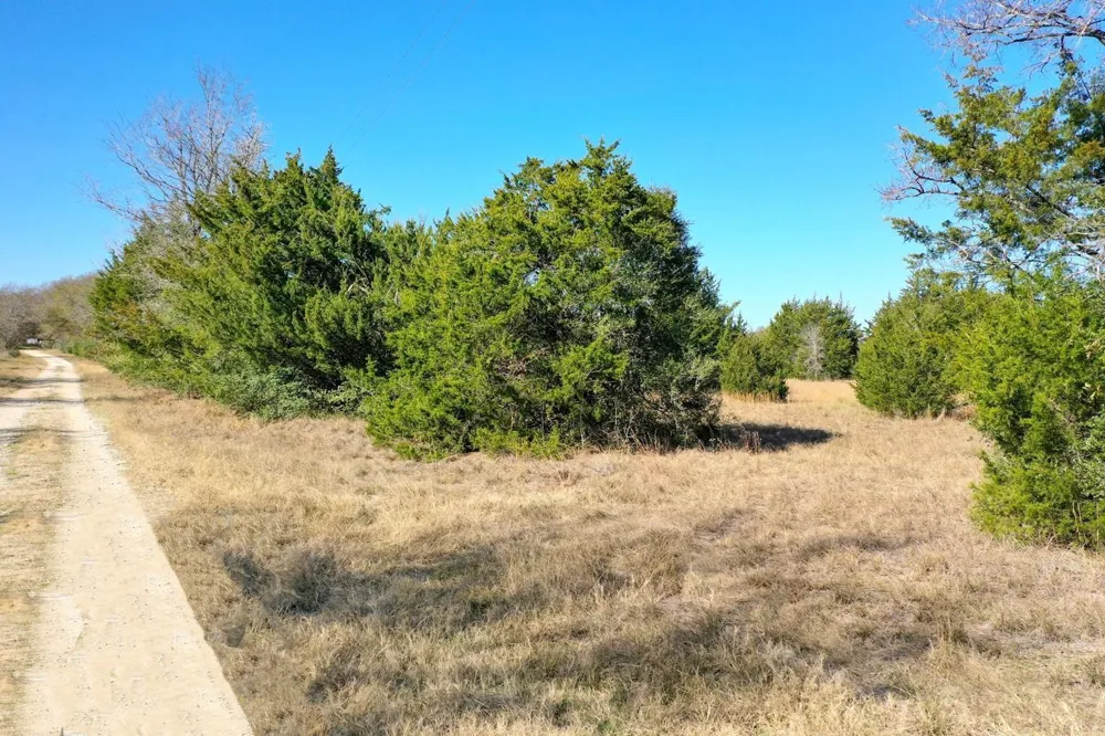 5 Manning Lane Madisonville, TX 77864