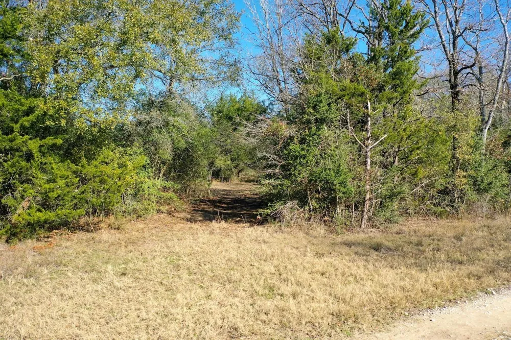 5 Manning Lane Madisonville, TX 77864