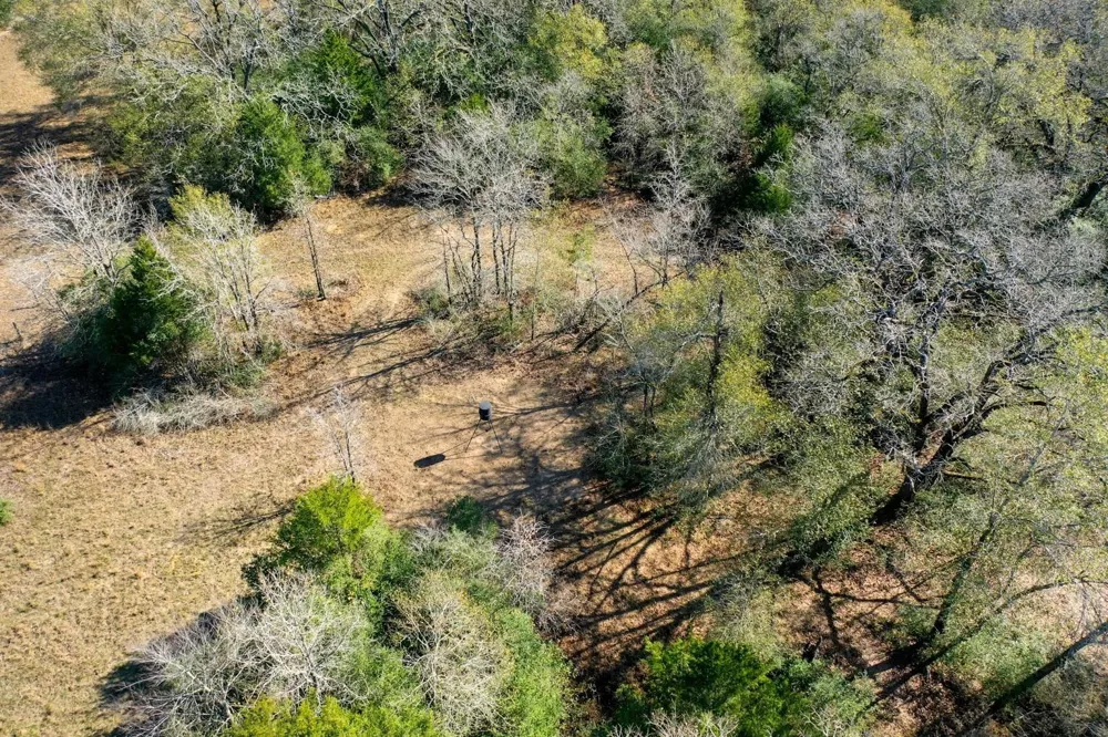 5 Manning Lane Madisonville, TX 77864
