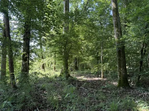 949 Ford Road