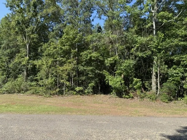 949 Ford Road Homer, LA 71040
