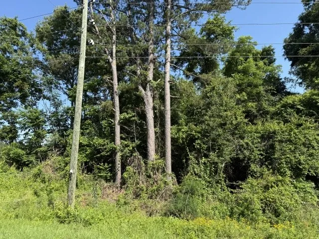 949 Ford Road Homer, LA 71040