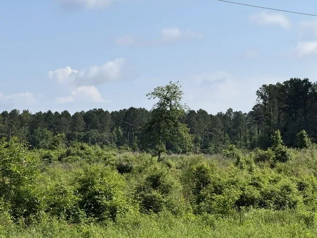949 Ford Road Homer, LA 71040