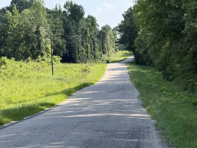949 Ford Road Homer, LA 71040