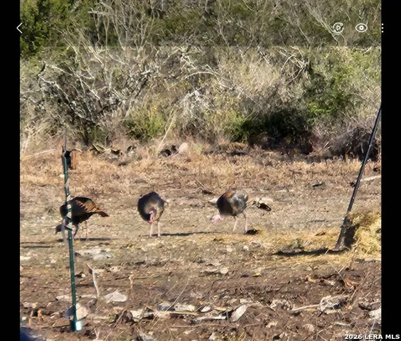 113 County Road 429B Uvalde, TX 78801