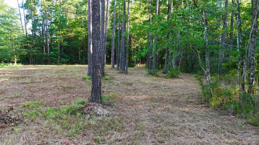394 Bay Shores Road Merritt, NC 28556