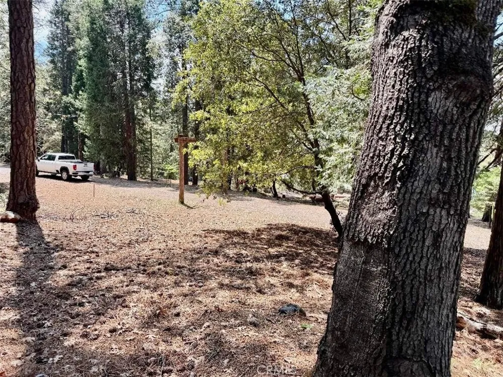 4631 Dear Abby Forest Ranch, CA 95942