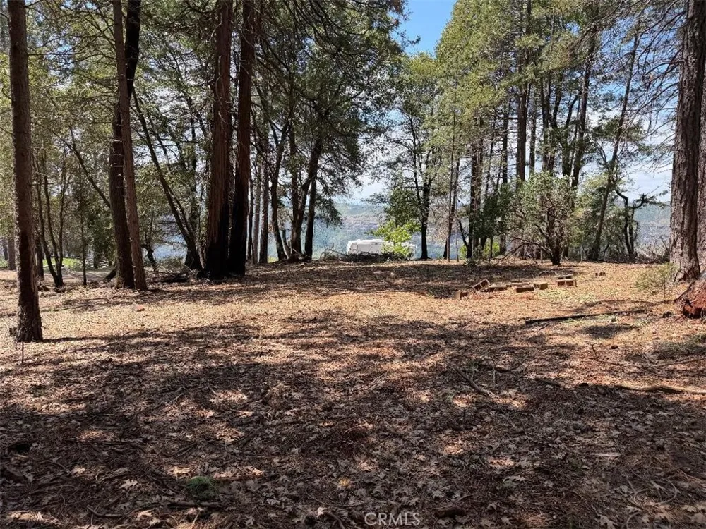 4631 Dear Abby Forest Ranch, CA 95942